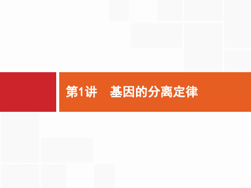 2019高三生物(苏教版)一轮课件：5.1 基因的分离定律 