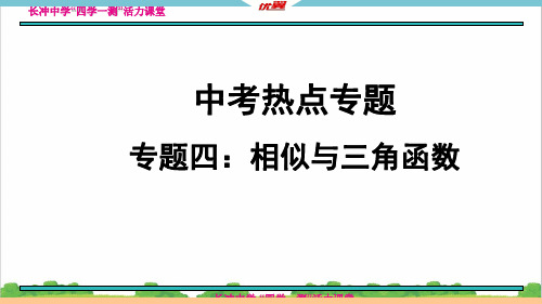 新人教部编版初中九年级数学专题4:相似与三角函数