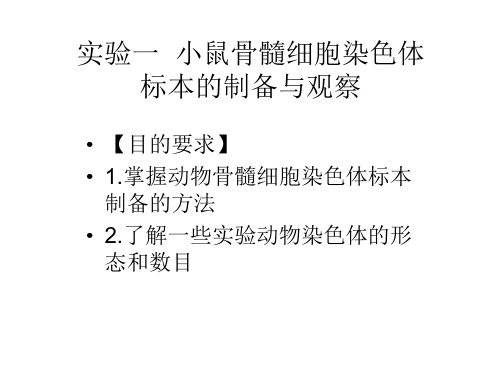 大学课程遗传学实验小鼠骨髓细胞染色体标本的制备与观察 JC课件