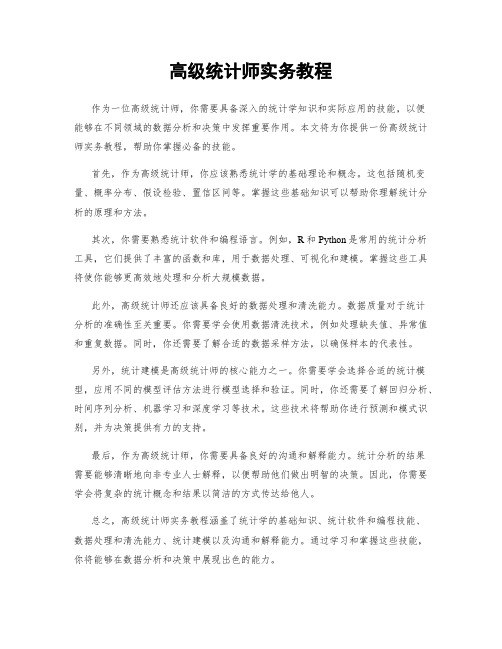 高级统计师实务教程