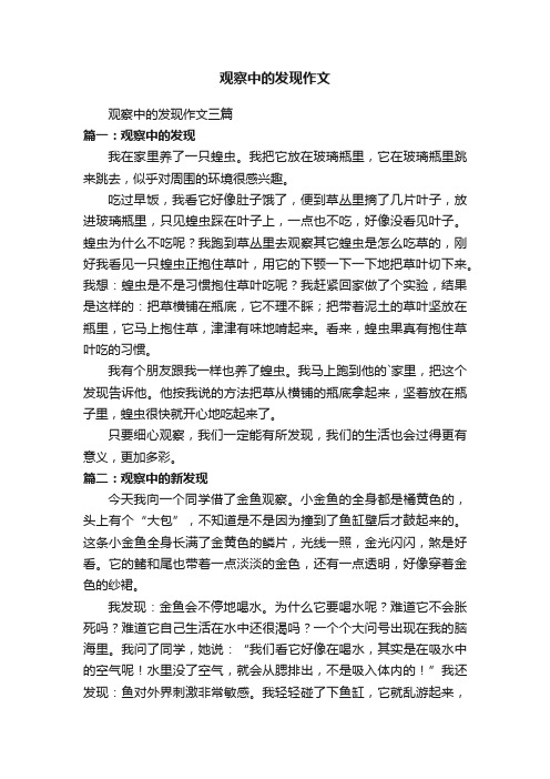 观察中的发现作文三篇