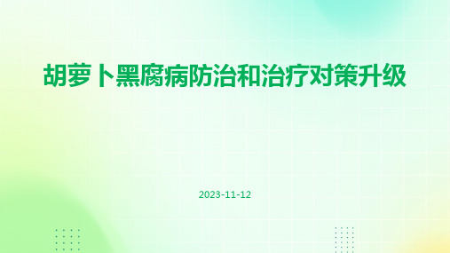 胡萝卜黑腐病防治和治疗对策升级