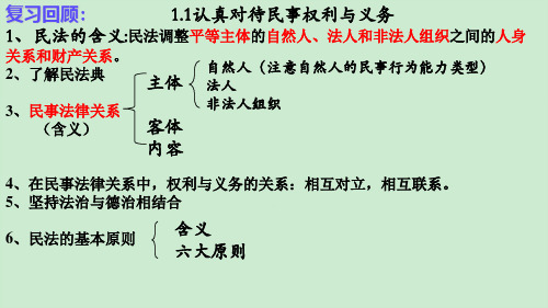 部编版政治选择性必修二 2.1 保障各类物权