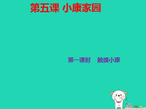 九年级道德与法治上册第二单元感受祖国的心跳第五课小康家园第1框触摸小康总体小康已经实现课件人民版