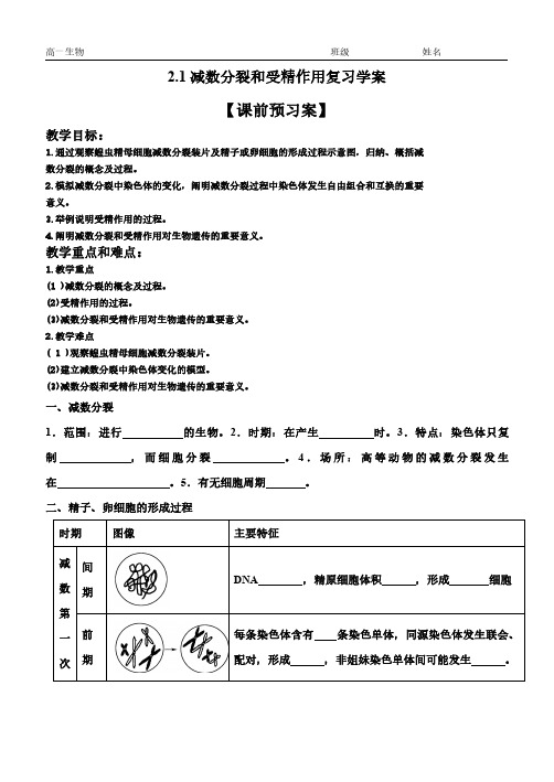 2.1减数分裂与受精作用 【新教材】人教版(2019)高中生物必修二复习回扣学案