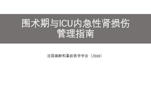 2016围术期与ICU内急性肾损伤管理指南