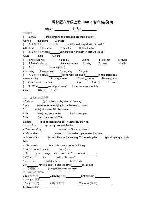 译林版六年级上册 Unit 2考点精练(B)