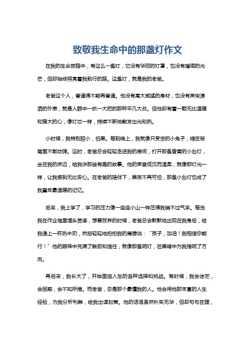 致敬我生命中的那盏灯作文