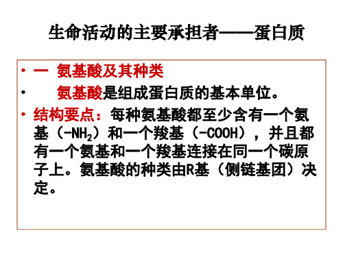 高一生物蛋白质核酸