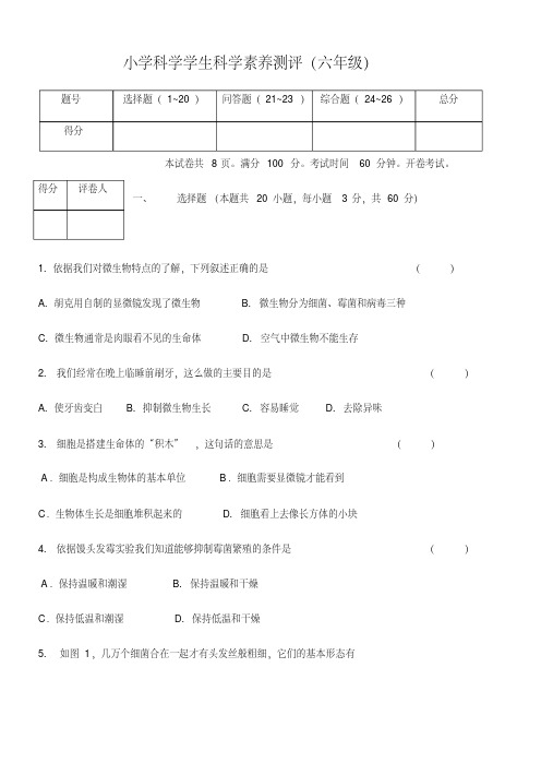 六年级上册科学试卷-素养测试苏教版