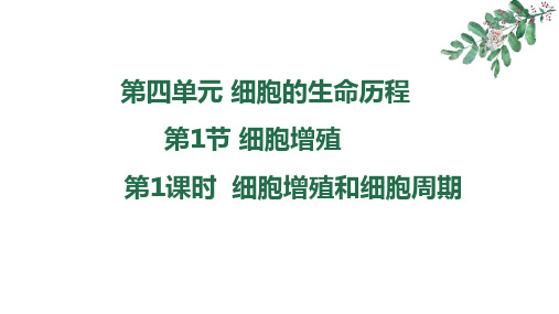 2025届高三生物一轮复习课件：有丝分裂课件