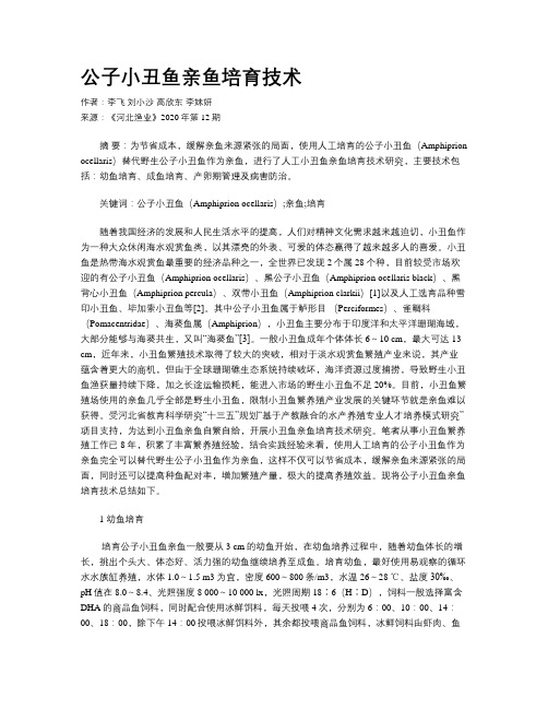 公子小丑鱼亲鱼培育技术