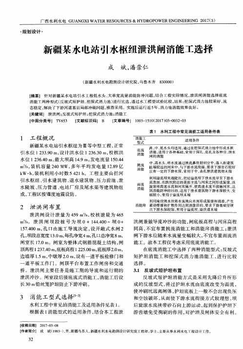 新疆某水电站引水枢纽泄洪闸消能工选择