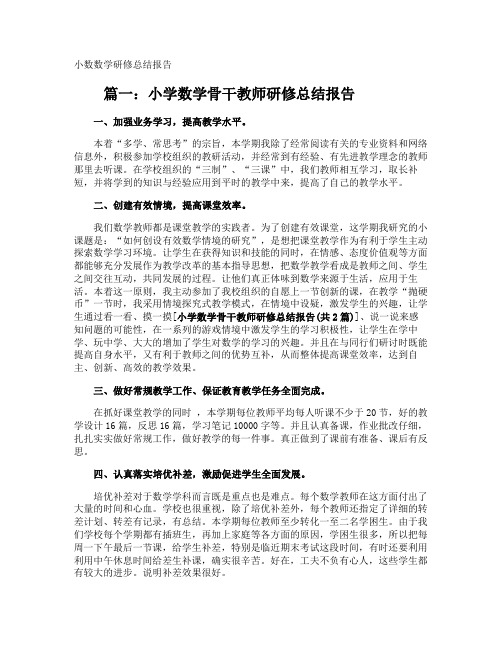 小数数学研修总结报告