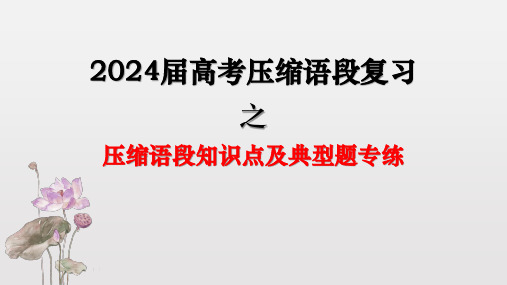 2024届高考压缩语段复习之压缩语段知识点及典型题专练++课件42张