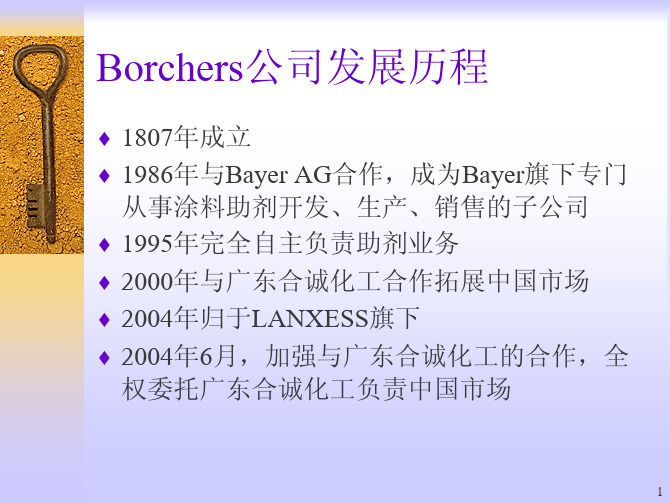 拜耳化学-Borchers Additives For Paint