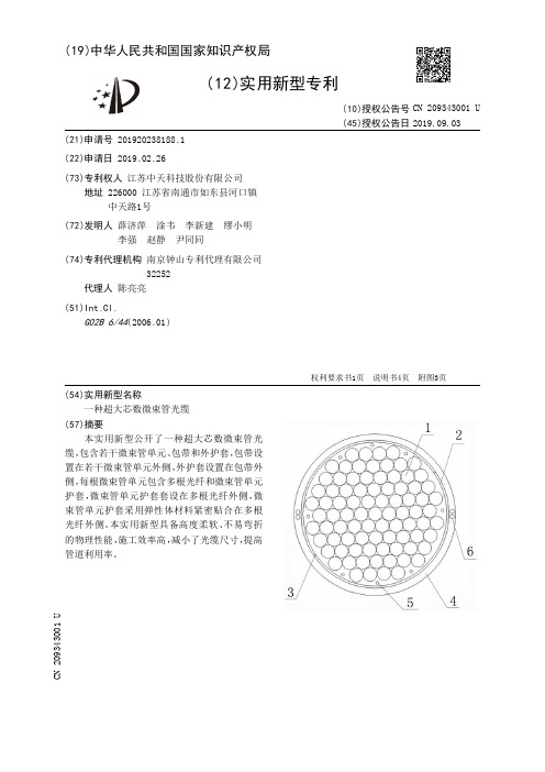 【CN209343001U】一种超大芯数微束管光缆【专利】