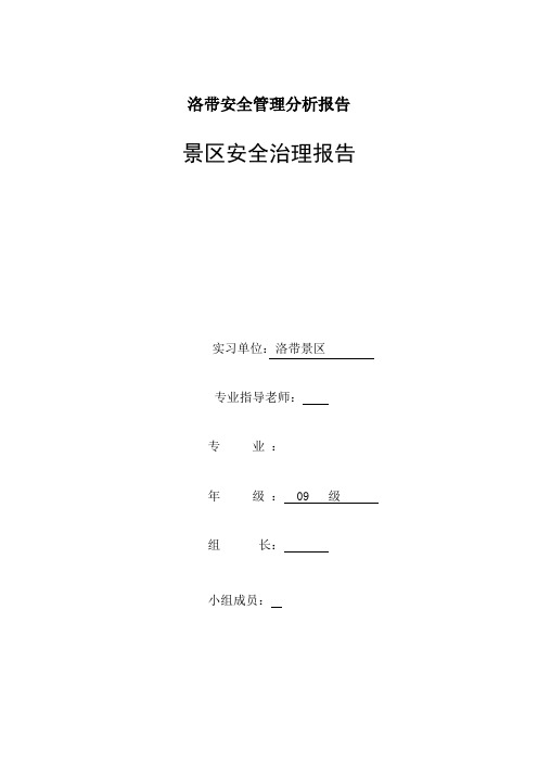 洛带安全管理分析报告