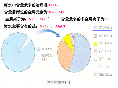 考点19海洋化学资源的复习[下学期](鲁教版(五四制))