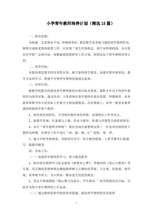 小学青年教师培养计划(15篇)(最新)