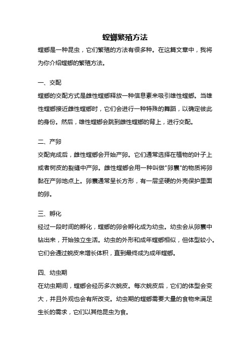 螳螂繁殖方法