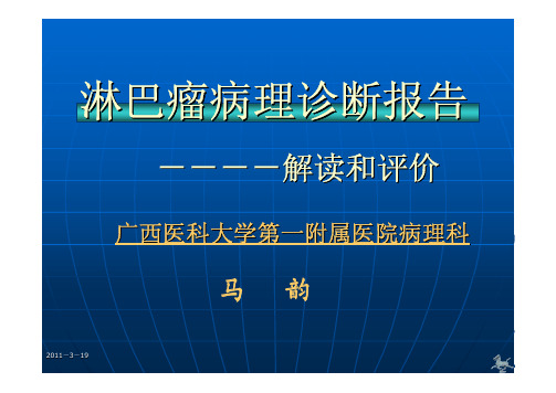 淋巴瘤病理诊断报告的解读和评价