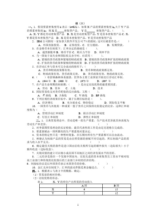 国际经济学模拟试题6