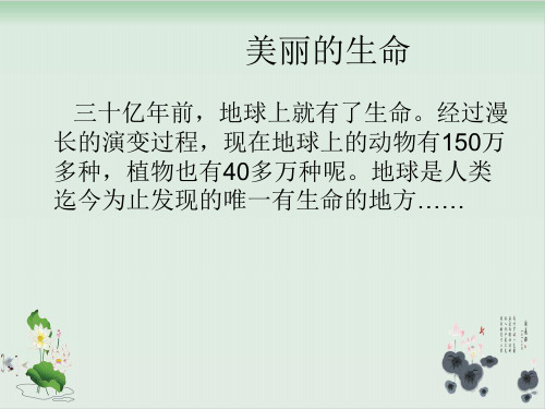 四年级上册品德与社会课件美丽的生命 -人教新课标1