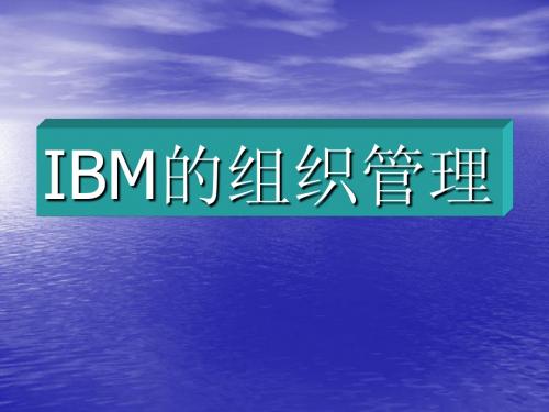 IBM的组织管理