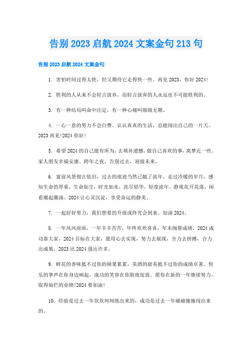 告别2023启航2024文案金句213句