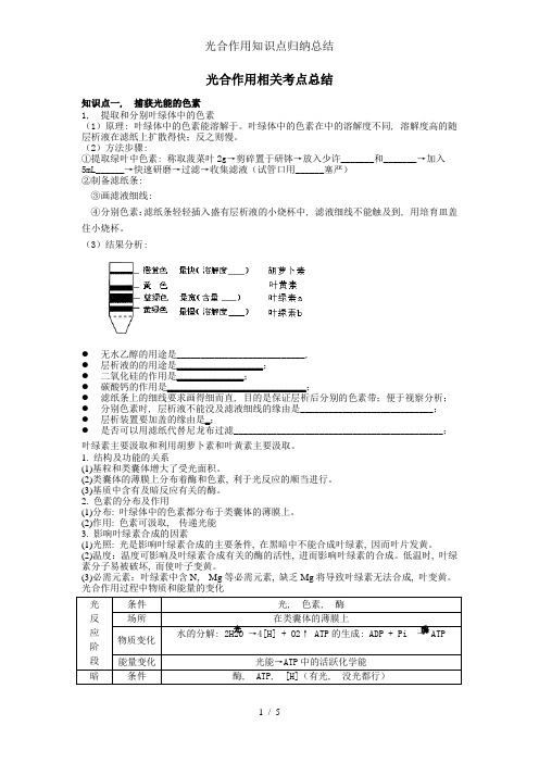 光合作用知识点归纳总结1