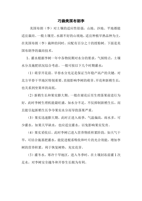 巧栽美国布朗李.doc