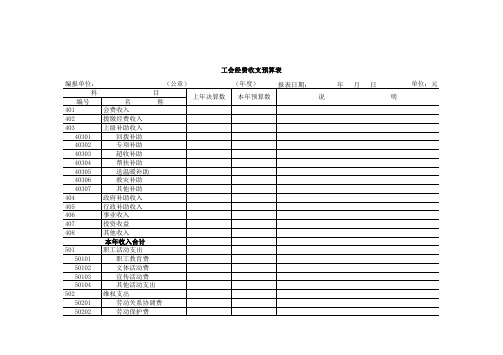 工会经费收支预算表资料通用