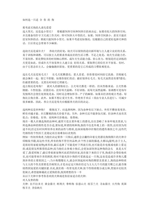 养狗的各种注意事项