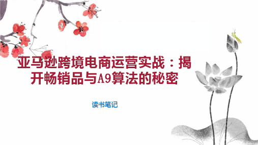 亚马逊跨境电商运营实战：揭开畅销品与A9算法的秘密