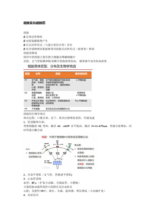 药理学总结：组胺和抗组胺药