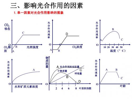 光合作用(第三课时)影响光合作用的因素和计算