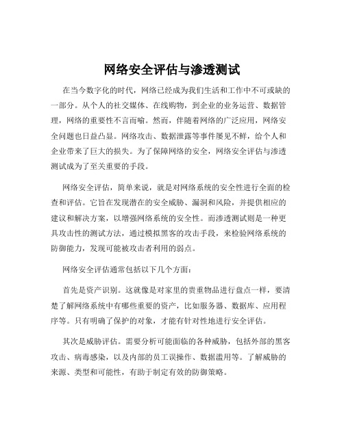 网络安全评估与渗透测试