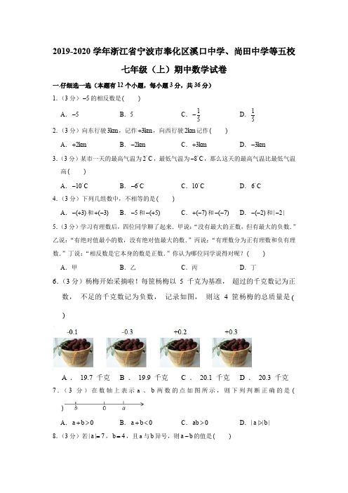 2019-2020学年浙江省宁波市奉化区溪口中学、尚田中学等五校七年级(上)期中数学试卷(解析版)
