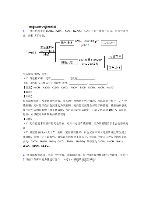 中考化学二轮 推断题 专项培优 易错 难题及答案