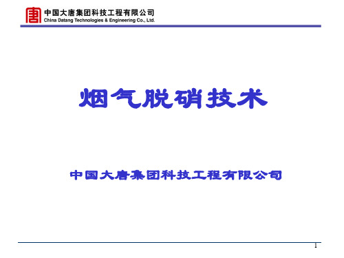 大唐科技-脱硝技术介绍zhou资料