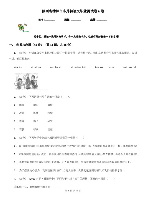 陕西省榆林市小升初语文毕业测试卷A卷