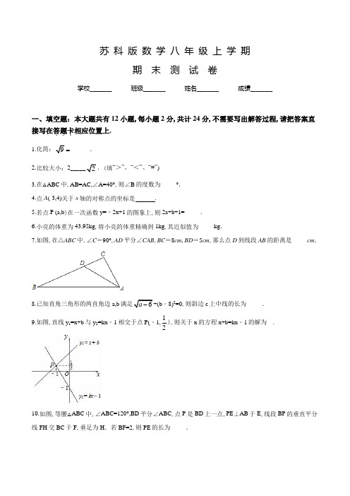 苏科版八年级上册数学《期末考试试卷》及答案解析