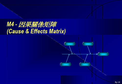 6sigmagb测量-因果关系矩阵