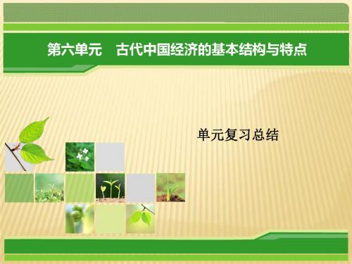 重庆市万州分水中学高三历史一轮复习课件 第6单元 古代中国经济的基本结构与特点 单元复习