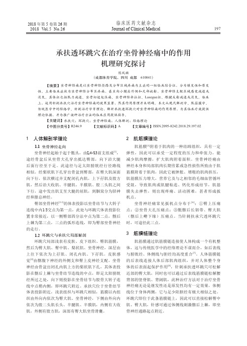 承扶透环跳穴在治疗坐骨神经痛中的作用机理研究探讨