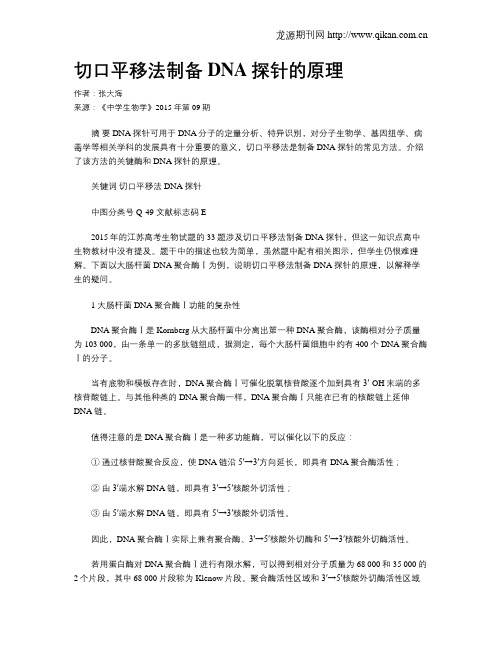 切口平移法制备DNA探针的原理