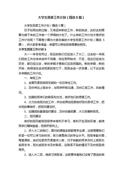 大学生班委工作计划（精选5篇）