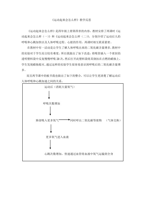 《运动起来会怎么样》教学反思