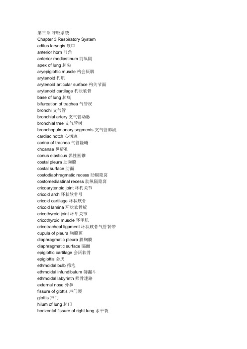 3呼吸系统英文